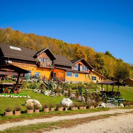 Dumbrava Ursului Hotel Zărneşti Exterior foto