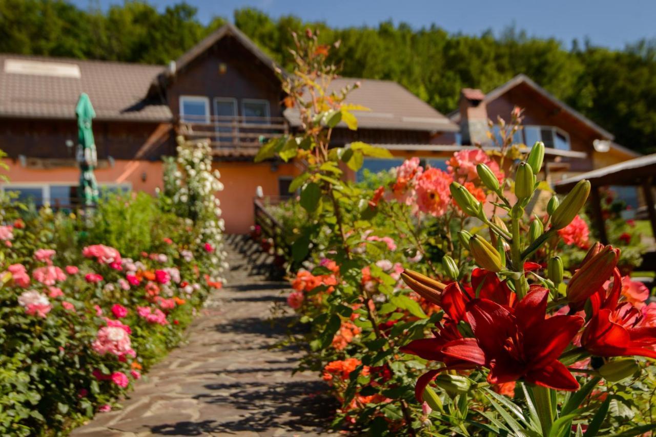 Dumbrava Ursului Hotel Zărneşti Exterior foto