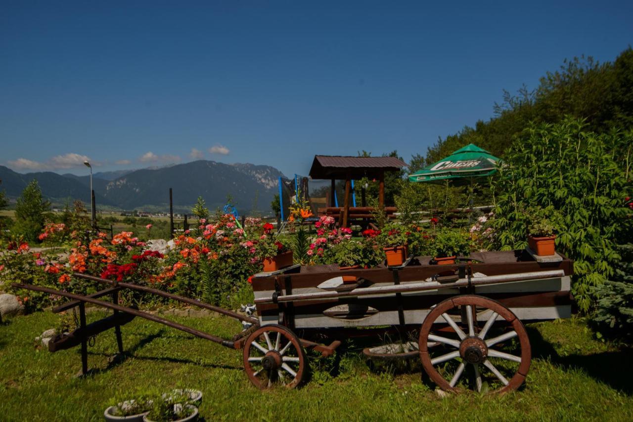 Dumbrava Ursului Hotel Zărneşti Exterior foto