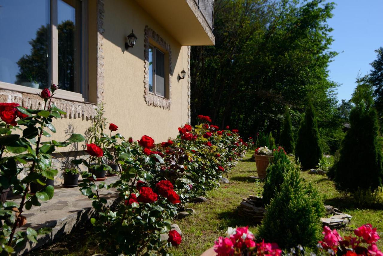 Dumbrava Ursului Hotel Zărneşti Exterior foto