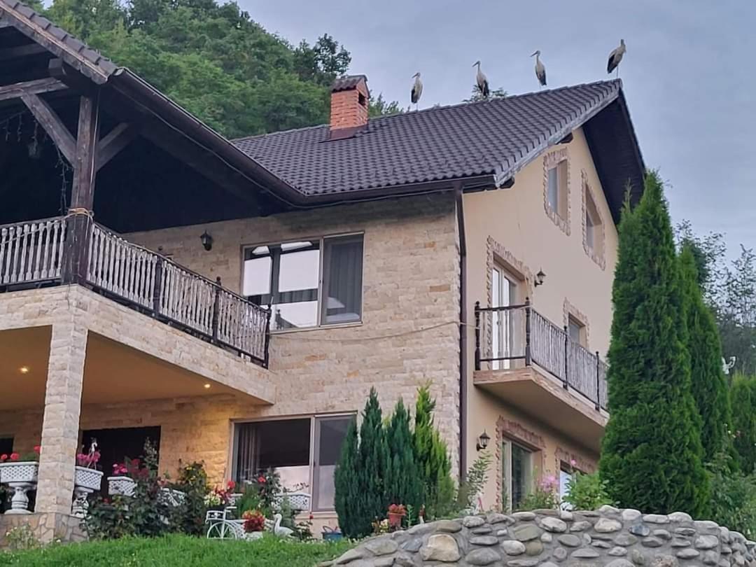 Dumbrava Ursului Hotel Zărneşti Exterior foto