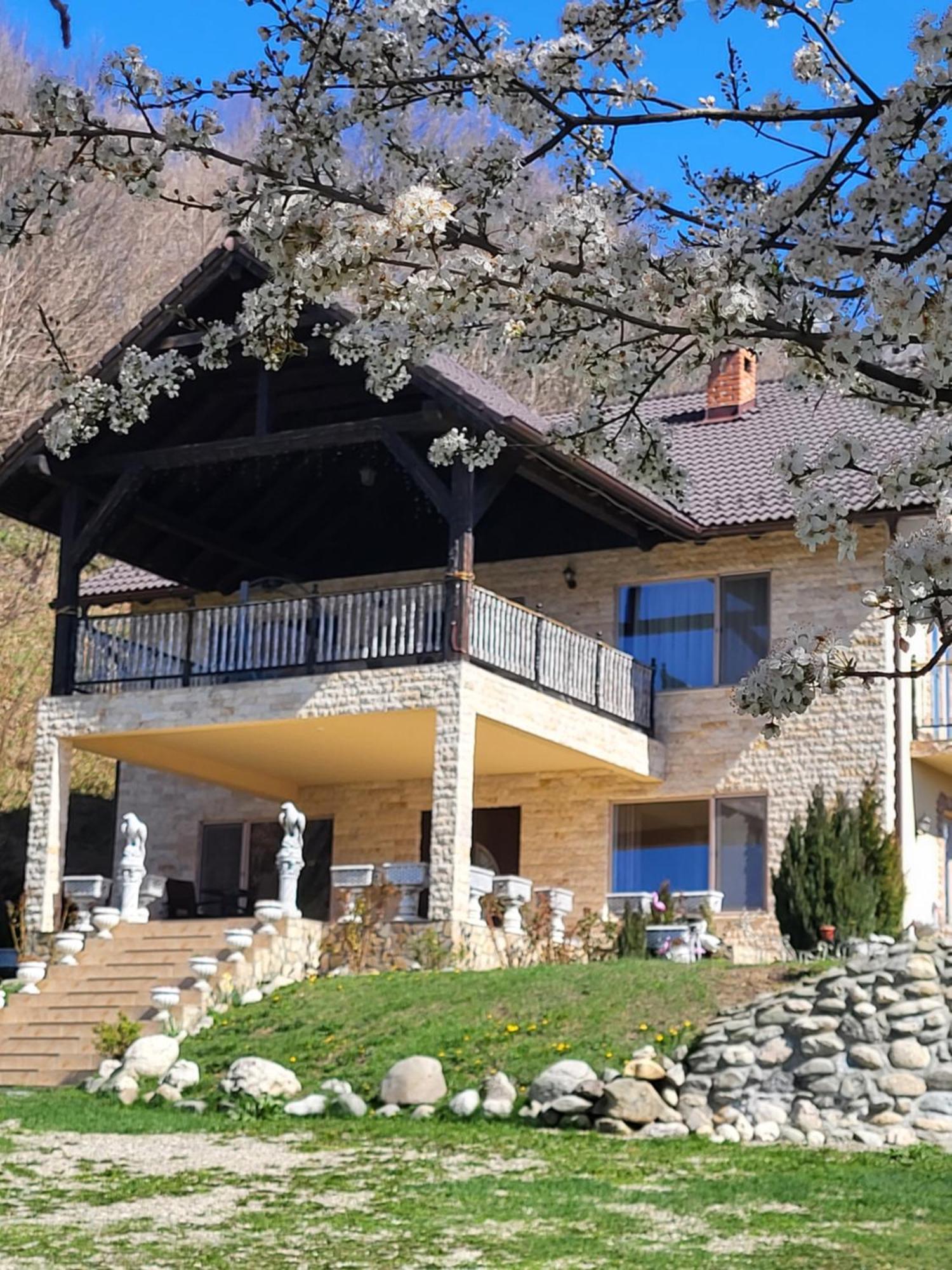 Dumbrava Ursului Hotel Zărneşti Exterior foto