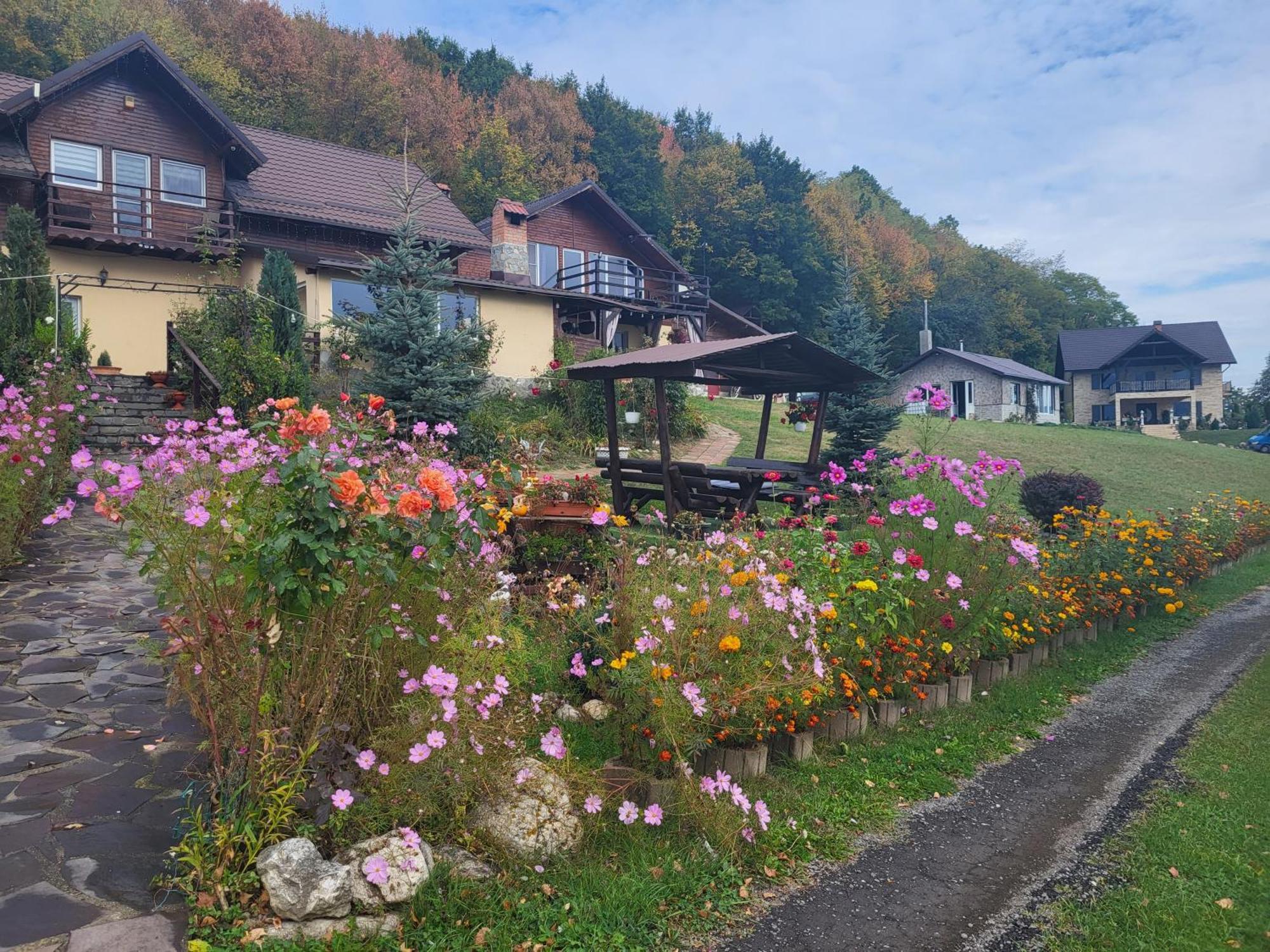 Dumbrava Ursului Hotel Zărneşti Exterior foto