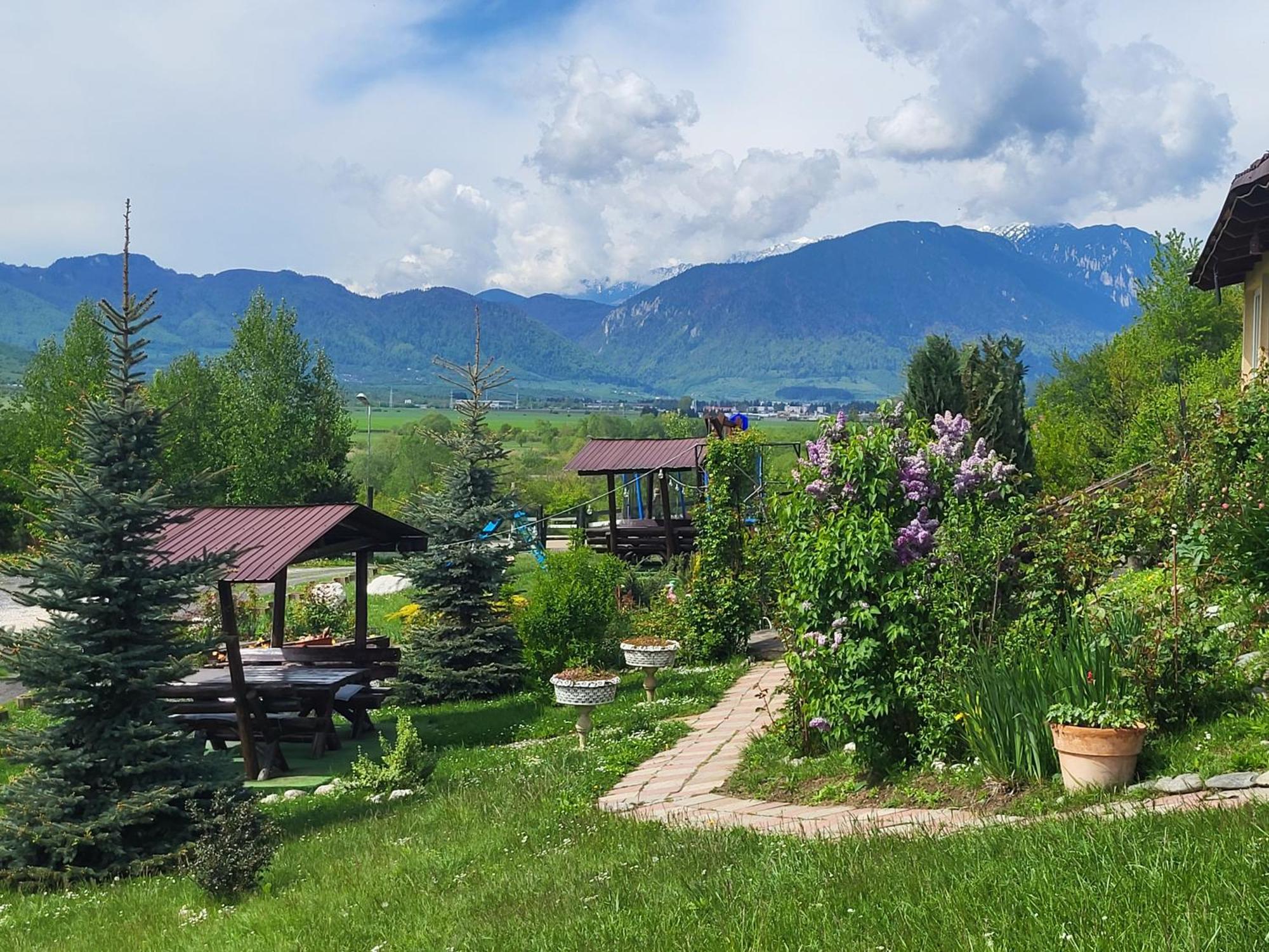 Dumbrava Ursului Hotel Zărneşti Exterior foto