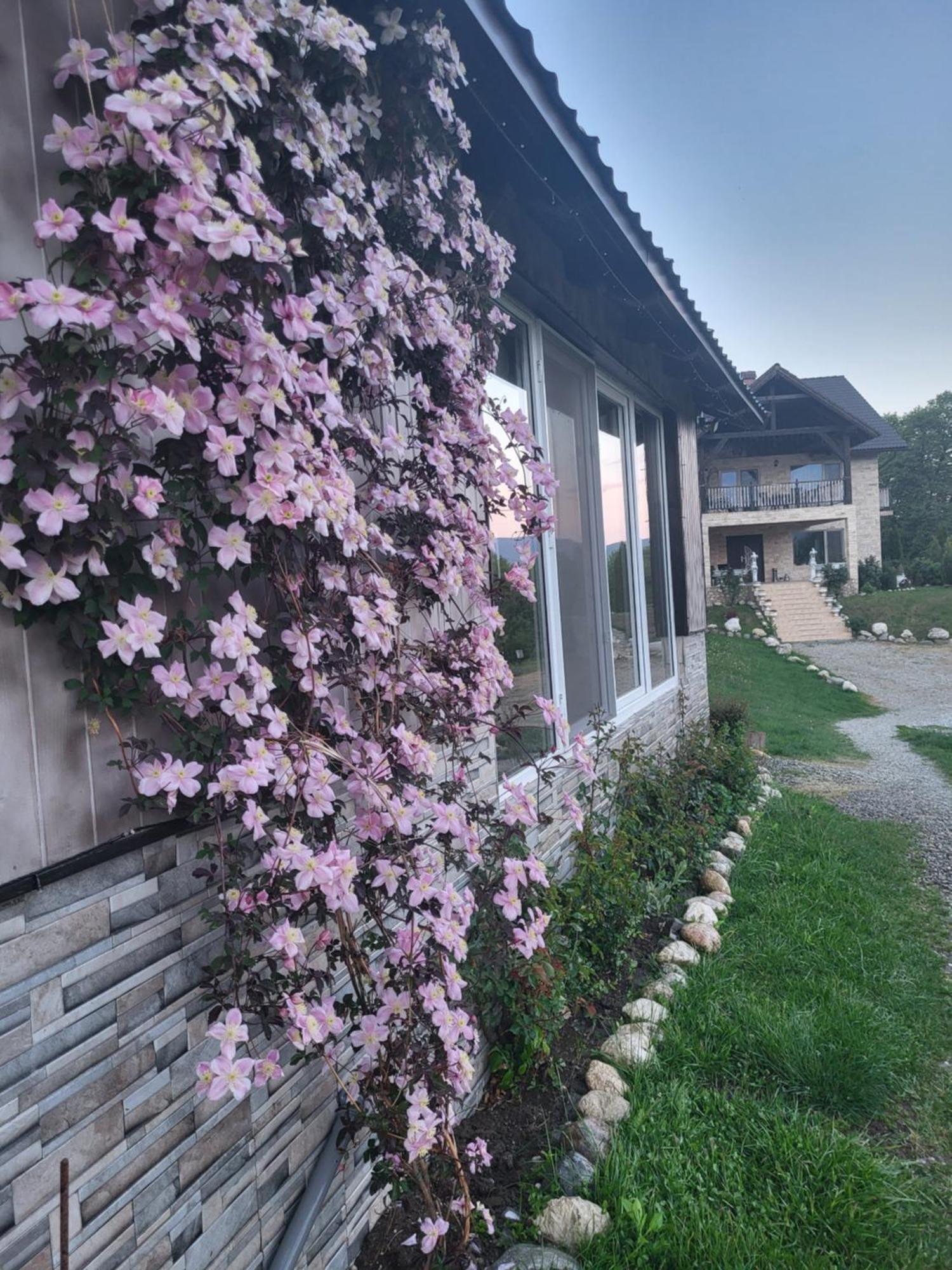 Dumbrava Ursului Hotel Zărneşti Exterior foto