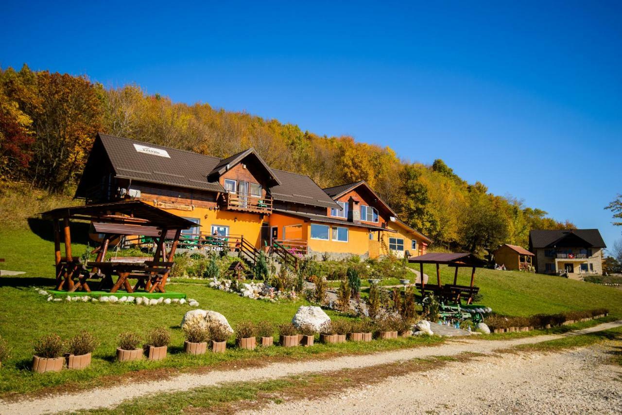 Dumbrava Ursului Hotel Zărneşti Exterior foto